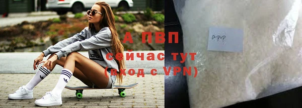 СК Алексин