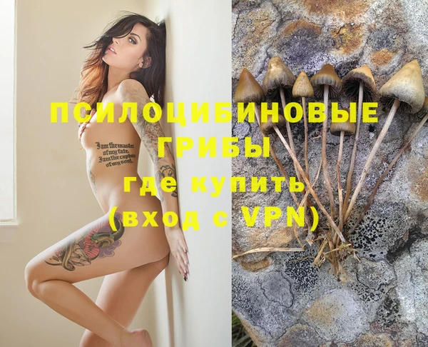 МДПВ Абдулино