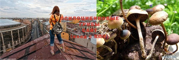 МДПВ Абинск