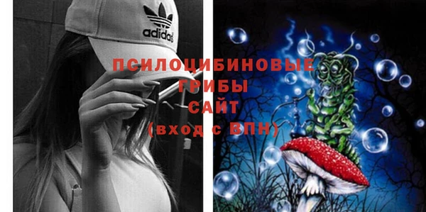 СК Алексин
