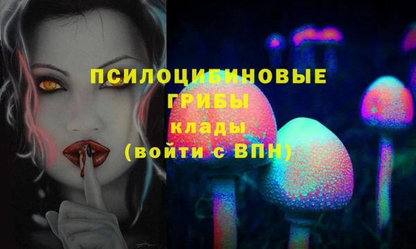 СК Алексин