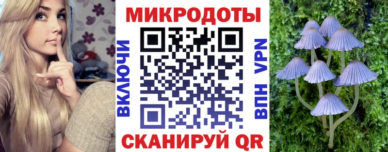 Псилоцибиновые грибы прущие грибы  Истра 